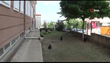 Bursa'daki bu okul diğerlerinden çok farklı