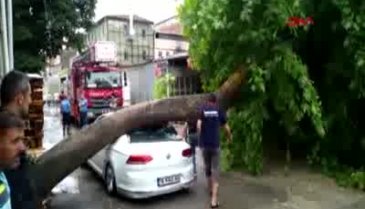 Bursa'da yağmur hayatı felç etti! Ağaç aracın üzerine devrildi