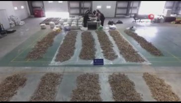1.28 ton denizatı ele geçirildi