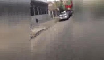 Arjantin'de kadın sürücüden çekiçli saldırı