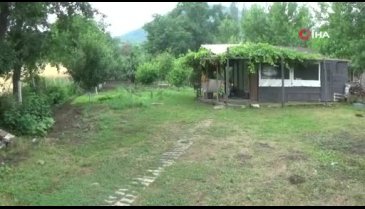 Bursa'da yanlış bit ilacı tavukları telef etti iddiası