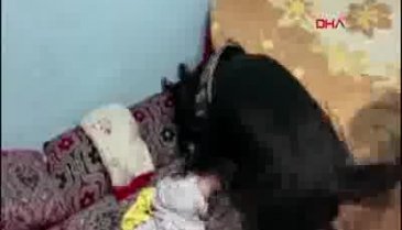 Oyuncak bebekten uyuşturucu hap çıktı