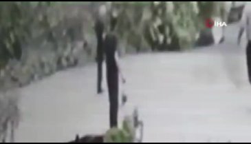 Üzerine ağaç devrilen vatandaş yaralandı
