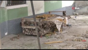 Köpeklerin parçaladığı çekyattan çıkanlar şoke etti