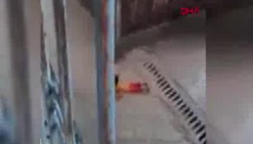 Küçük çocuğun yağmur sevinci sosyal medyada ilgi gördü