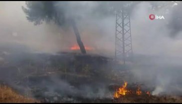 Gaziantep'teki orman yangını kontrol altına alındı