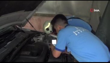 Bursa'da arabaya giren yavru kedi gurbetçi aileye zor anlar yaşattı