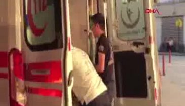 Bursa'da yola çıkan at kazaya neden oldu!