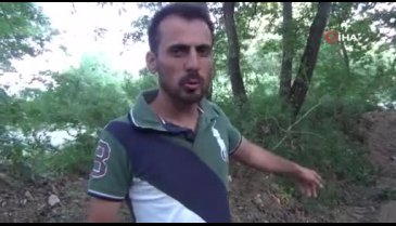 Bursa'da kurtlardan kurtulmak isterken köpekleri öldürdü
