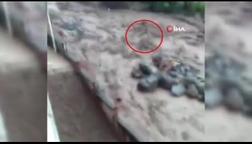 Yaşlı adamın sele kapılma anı ortaya çıktı