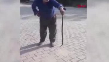Bursa'da yatak odasında çıplak elle yakaladığı yılanı doğaya bıraktı