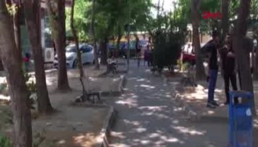 Aşk üçgeni vahşetle bitti!