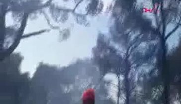 Heybeliada'da orman yangını