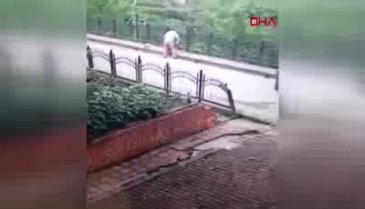 Yavru köpeği faraşa koyup dereye attı
