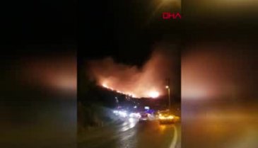 Menderes'te orman yangını