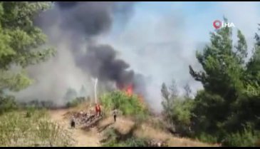 Silifke'de orman yangını