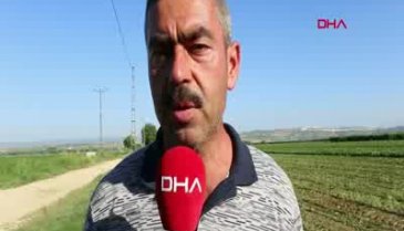 Bursa'da tarımsal kalkınmaya destek