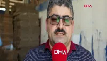 Bursa'da hibrit biber ve fasulye hasadı başladı