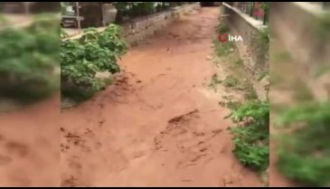 Nallıhan'da yağmur sonrası su baskınları yaşandı
