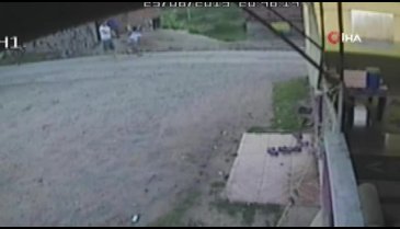 Hayvanları yanlış ahıra giren iki aile birbirine girdi
