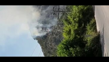 Bursa Kestel'de orman yangını