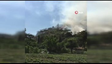 Bursa Uludağ'ın etekleri alevlere teslim oldu
