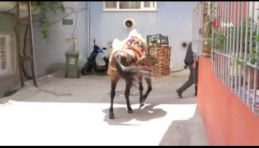 Bursa'da köylü kadınların açtığı kafe Türkiye'nin her yerinden ziyaretçi çekiyor