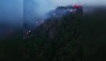 Muğla'daki orman yangını saatlerdir sürüyor