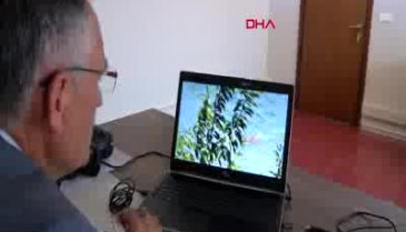 Barajda yüzen karaca görüntülendi