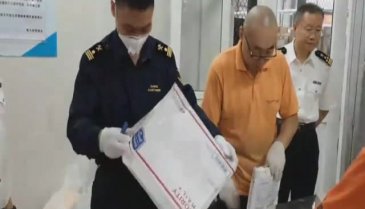 Posta paketinden 14 canlı akrep çıktı