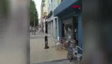 Kraliçelerini arayan arılar şehirde paniğe neden oldu