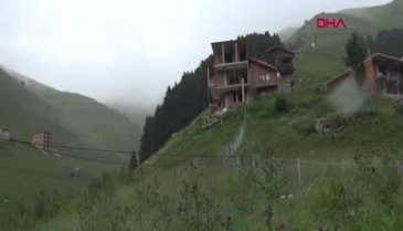 Kardeşlerin akılamaz inadı! Motorlu testereyle böldüler