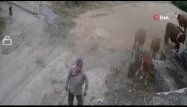 Korkunç cinayetin görüntüsü ortaya çıktı