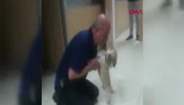 Bursa'da çalınan köpeği bulundu, gözyaşlarına boğuldu