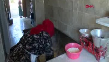 Bursalı köylünün Havva anası
