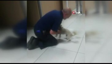 Bursa'da çalınan köpeği bulundu, gözyaşlarına boğuldu - 2