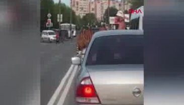 Trafikte şoke eden olay! Aniden yola atladı