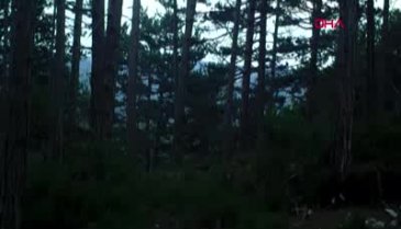 Yaban hayvanları fotokapanla görüntülendi