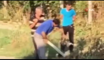 Yavru köpeği sopa ile döven adama para cezası