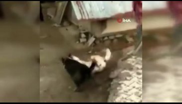 Sosyal medyada tepki çeken görüntülerle ilgili açıklama