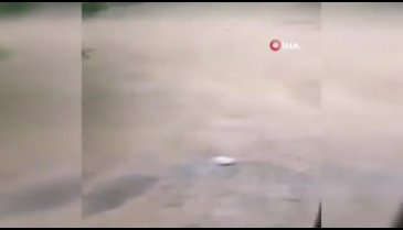 Lüks otomobilin sel sularında sürüklendiği anlar kamerada