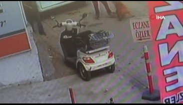 Hamile kediyi pitbulla parçalattı!