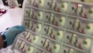 271 milyon sahte Amerikan dolarıyla ilgili FETÖ detayı
