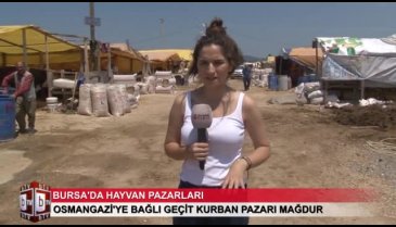 Bursa'da kurbanlıklar ne kadar? Bursa'daki kurban satıcıları dertli! (ÖZEL HABER)