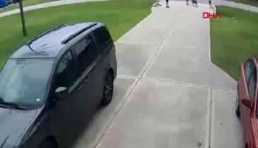 Pitbullun saldırdığı çocuğu komşusu kurtardı