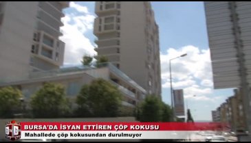 Bursa'nın bu mahallesinde çöp kokusundan durulmuyor! (ÖZEL HABER)