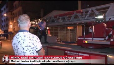 Bursa'da yavru kedi ekipleri saatlerce uğraştırdı (ÖZEL HABER)