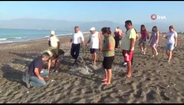 Caretta carettaların bulunduğu alanda drift atan sürücüye rekor ceza