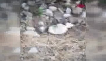 Yavru köpek, ağzı bağlı çuvalla yol kenarına bırakılmış