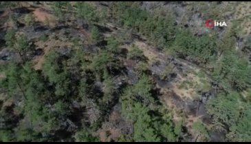 Bursa'da orman yangınında yanan yerler havadan görüntülendi